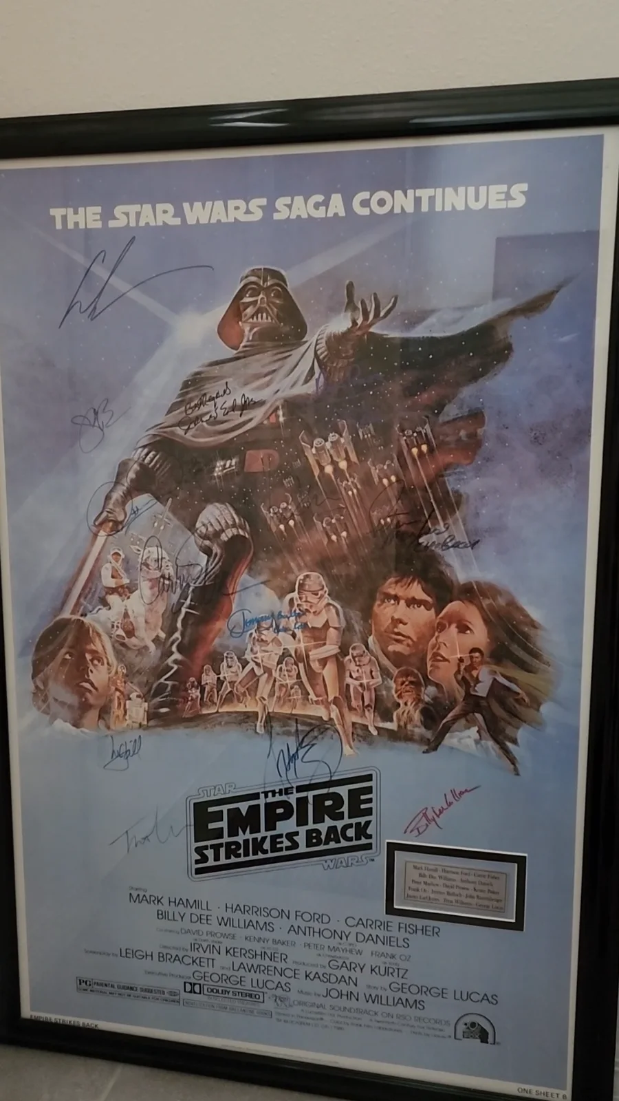 14 Cast Members — RARE Star Wars Empire Strikes Back Poster, Cast Signed By 14, Framed, COA, image 2