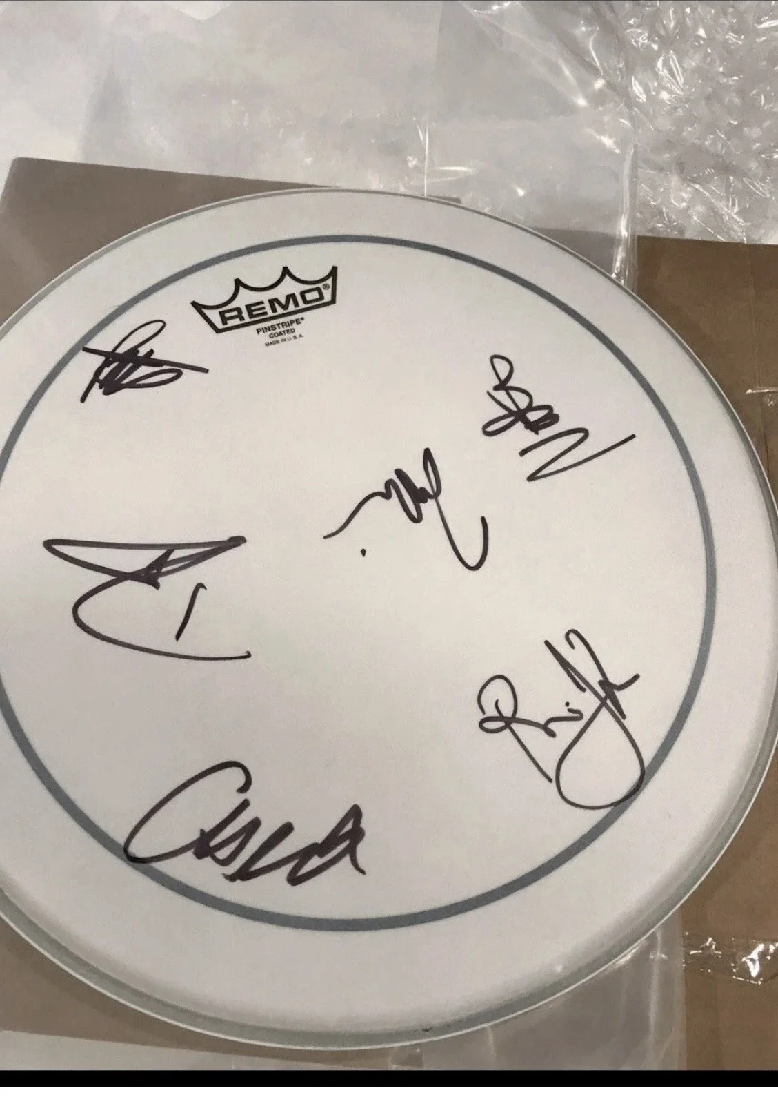 Foo Fighters + Dave Grohl Taylor Hawkins Signed Drumhead Autograph Vinyl Poster, image 3
