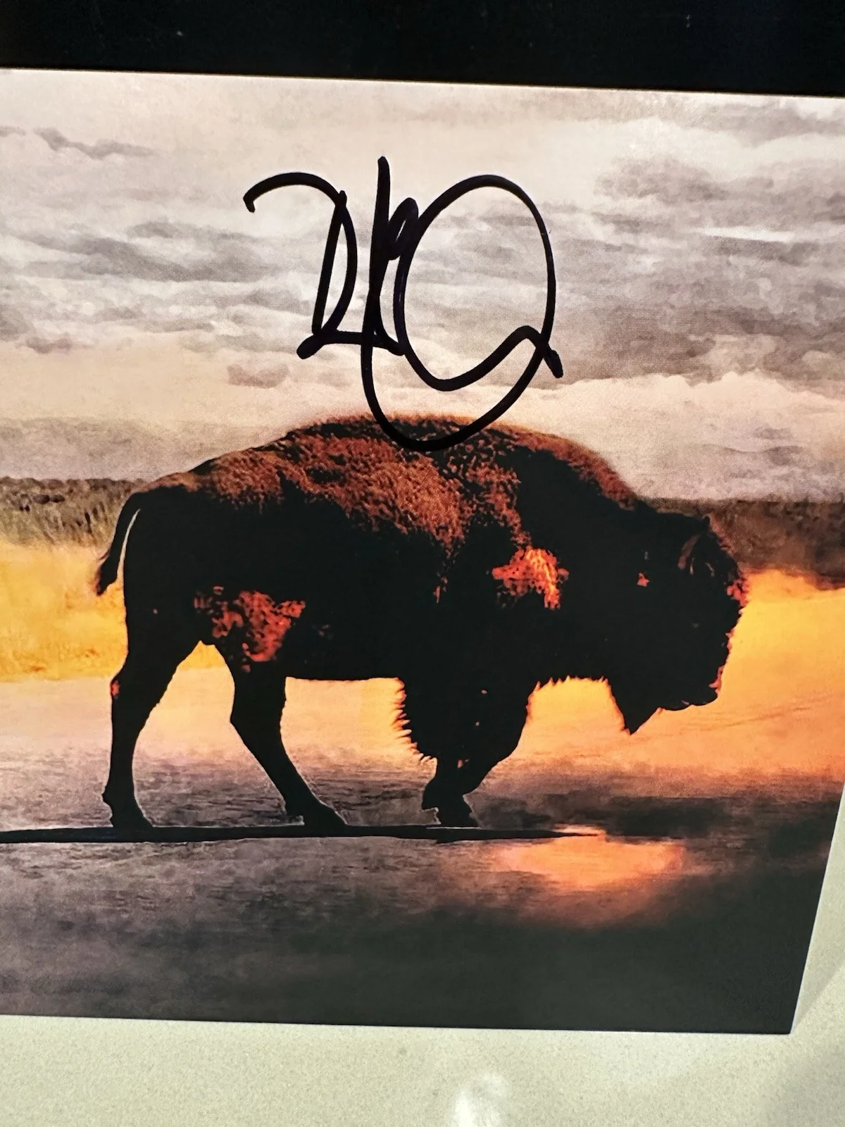 Robert Plant With Suzi Dian Saving Grace CD With Autographed Art Card, image 2