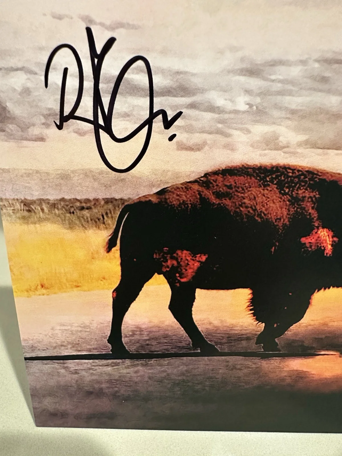 Robert Plant With Suzi Dian Saving Grace CD With Autographed Art Card, image 2