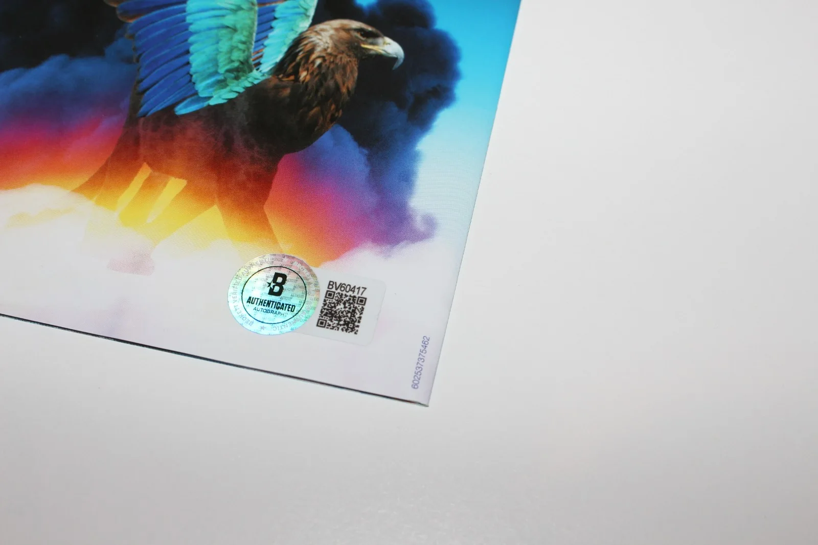 LUKE STEELE SIGNED FRAMED EMPIRE OF THE SUN ICE ON THE DUNE CD COVER BECKETT COA, изображение 3