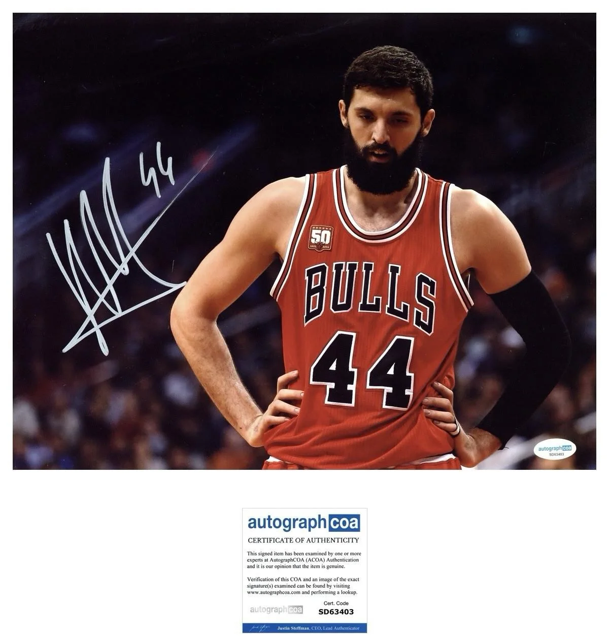 NIKOLA MIROTIC SIGNED 11X14 PHOTO BULLS AUTOGRAPH ACOA + EXACT PHOTO PROOF, изображение 2