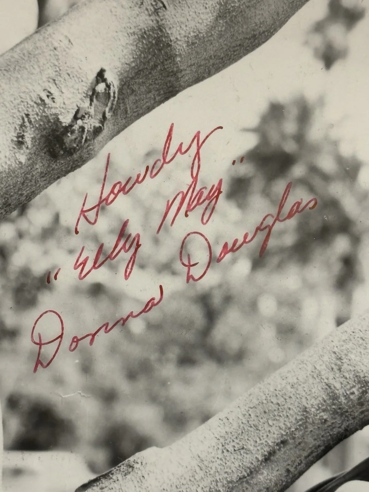 THE BEVERLY HILLBILLIES Elly May Clampett DONNA DOUGLAS signed 8 X 10 B/W photo!, изображение 2