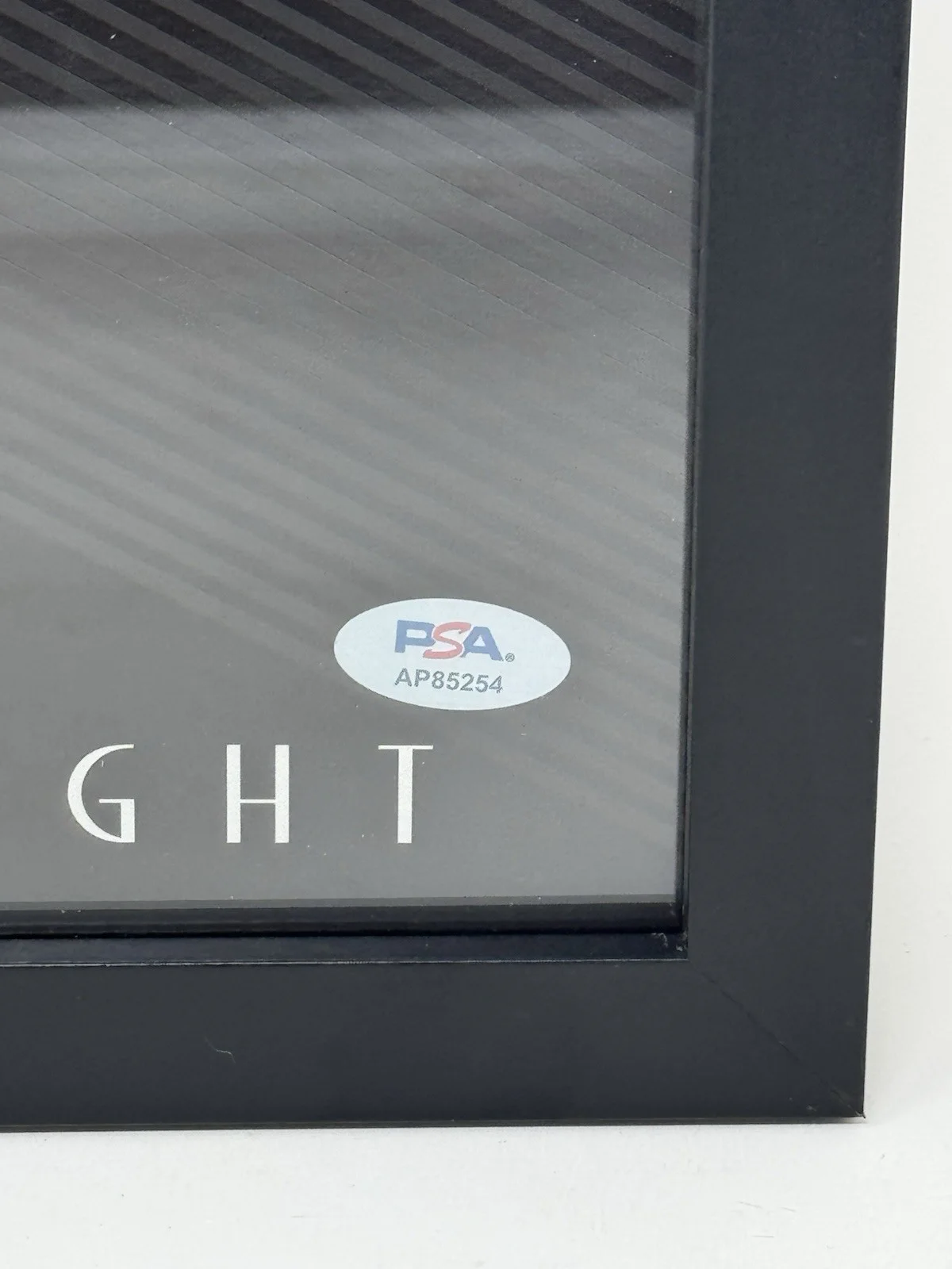BROOKE ANNIBALE SIGNED AUTOGRAPH HOLD TO THE LIGHT VINYL FRAMED PSA/DNA COA RARE, image 2