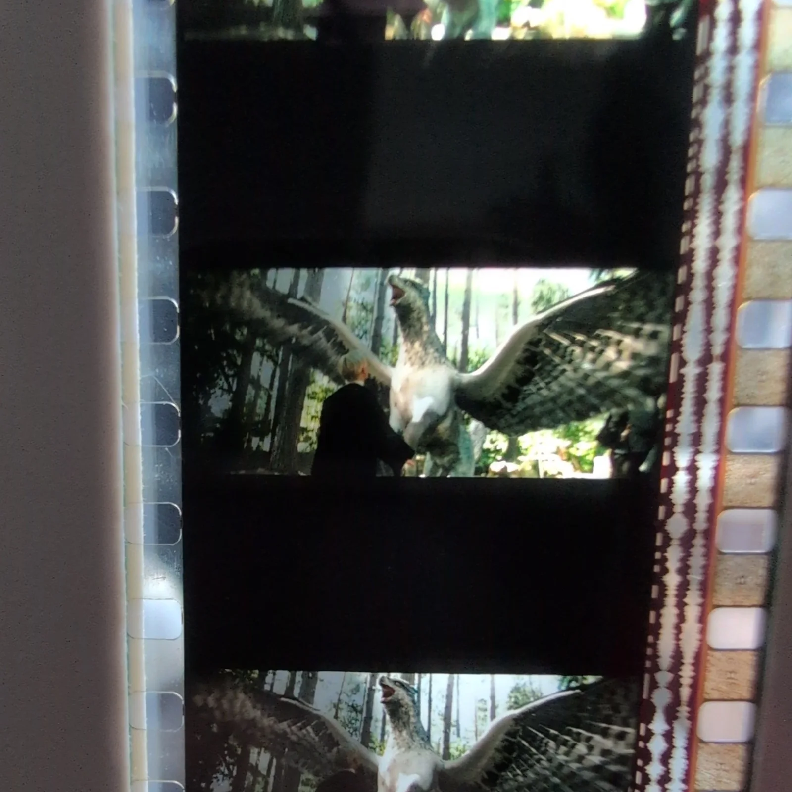 Harry Potter Prisoner of Azkaban Original 35mm Film Cell 194/1000 Framed COA, изображение 5