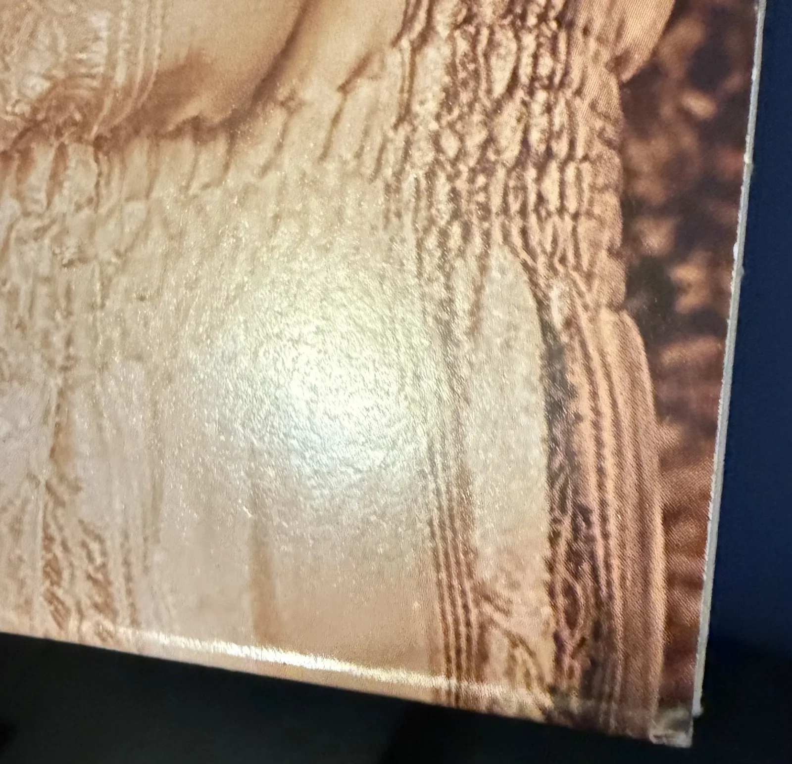 Natasha Bedingfield signed Unwritten 12" lp album RARE UO COLOR VINYL, изображение 5