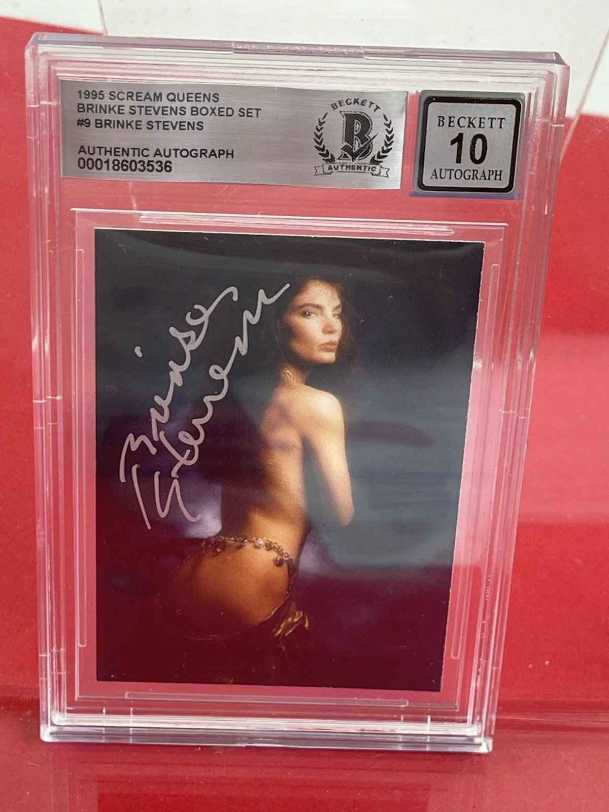 Brinke Stevens — Brinke Stevens signed Scream Queen Beckett Slabbed grade 10