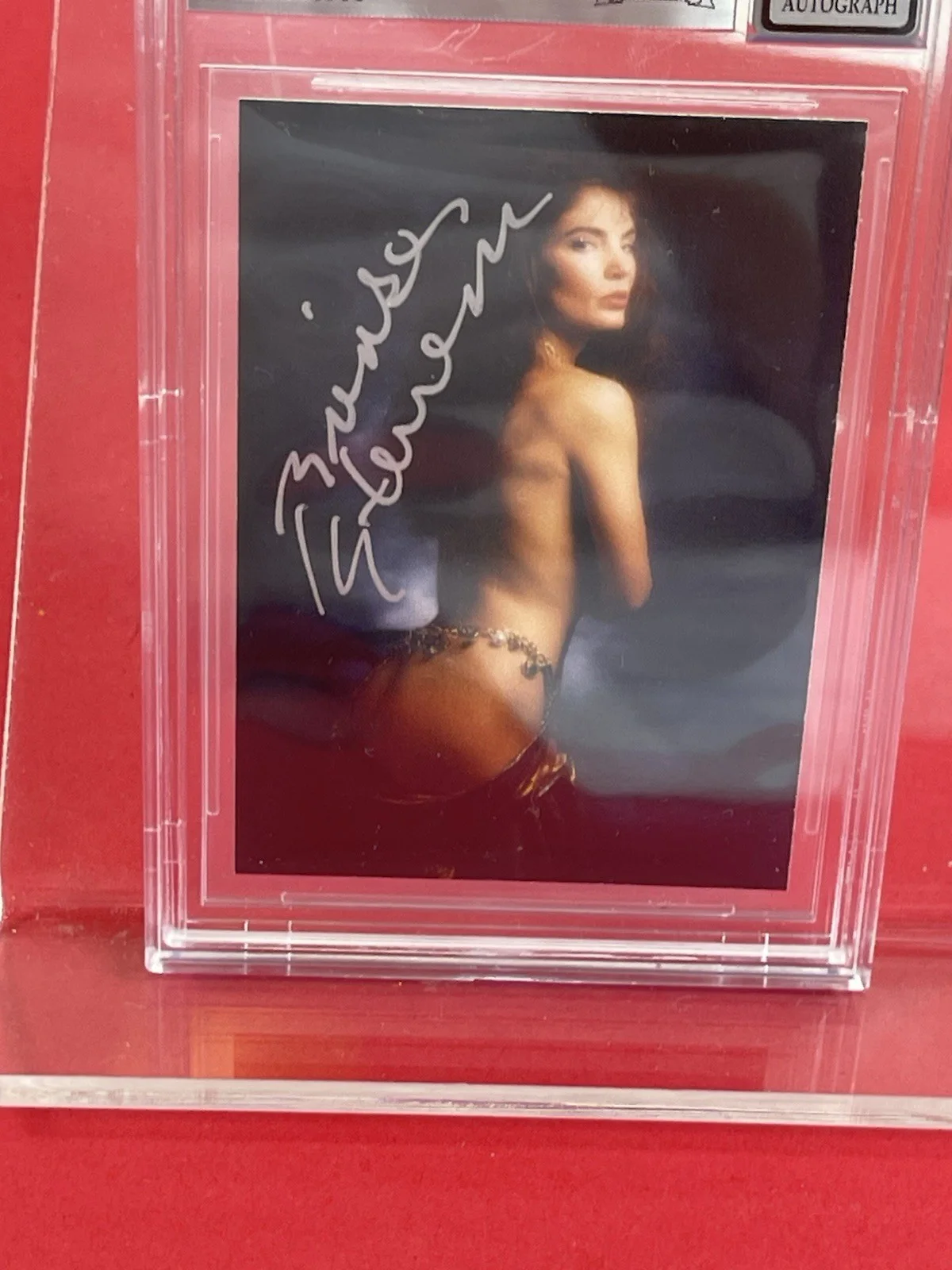 Brinke Stevens — Brinke Stevens signed Scream Queen Beckett Slabbed grade 10, изображение 4