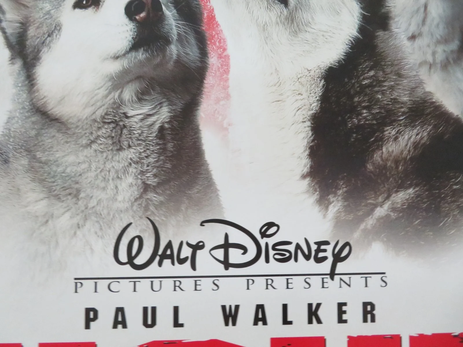 EIGHT BELOW US ONE SHEET ROLLED POSTER DISNEY PAUL WALKER BRUCE GREENWOOD 2006, image 2