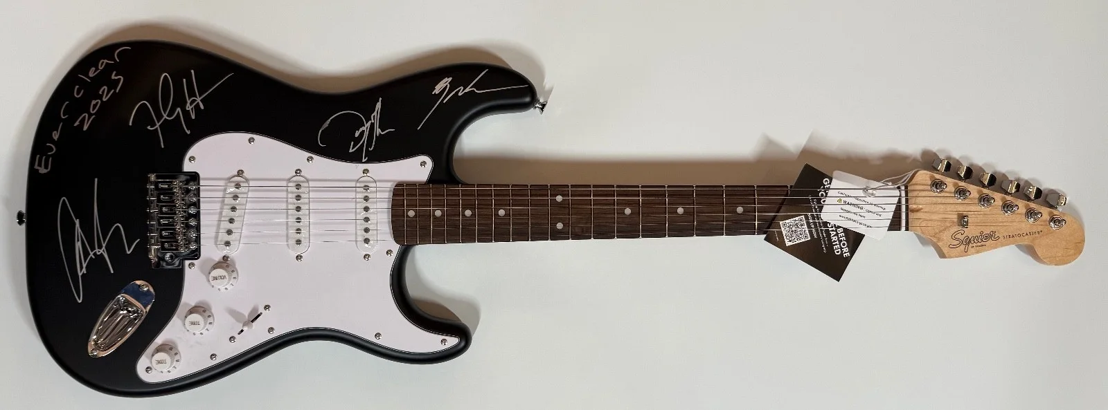 Everclear ACOA Signed Autograph Guitar 100% Charity Art Alexakis, image 2