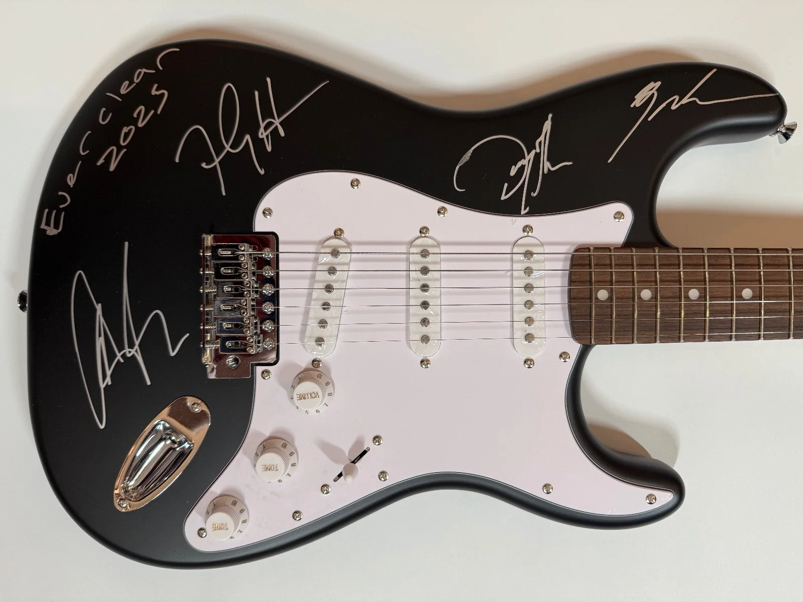 Everclear ACOA Signed Autograph Guitar 100% Charity Art Alexakis, image 3