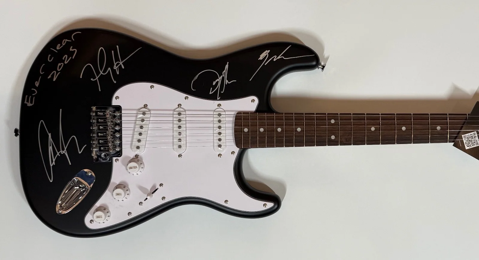 Everclear ACOA Signed Autograph Guitar 100% Charity Art Alexakis, image 4