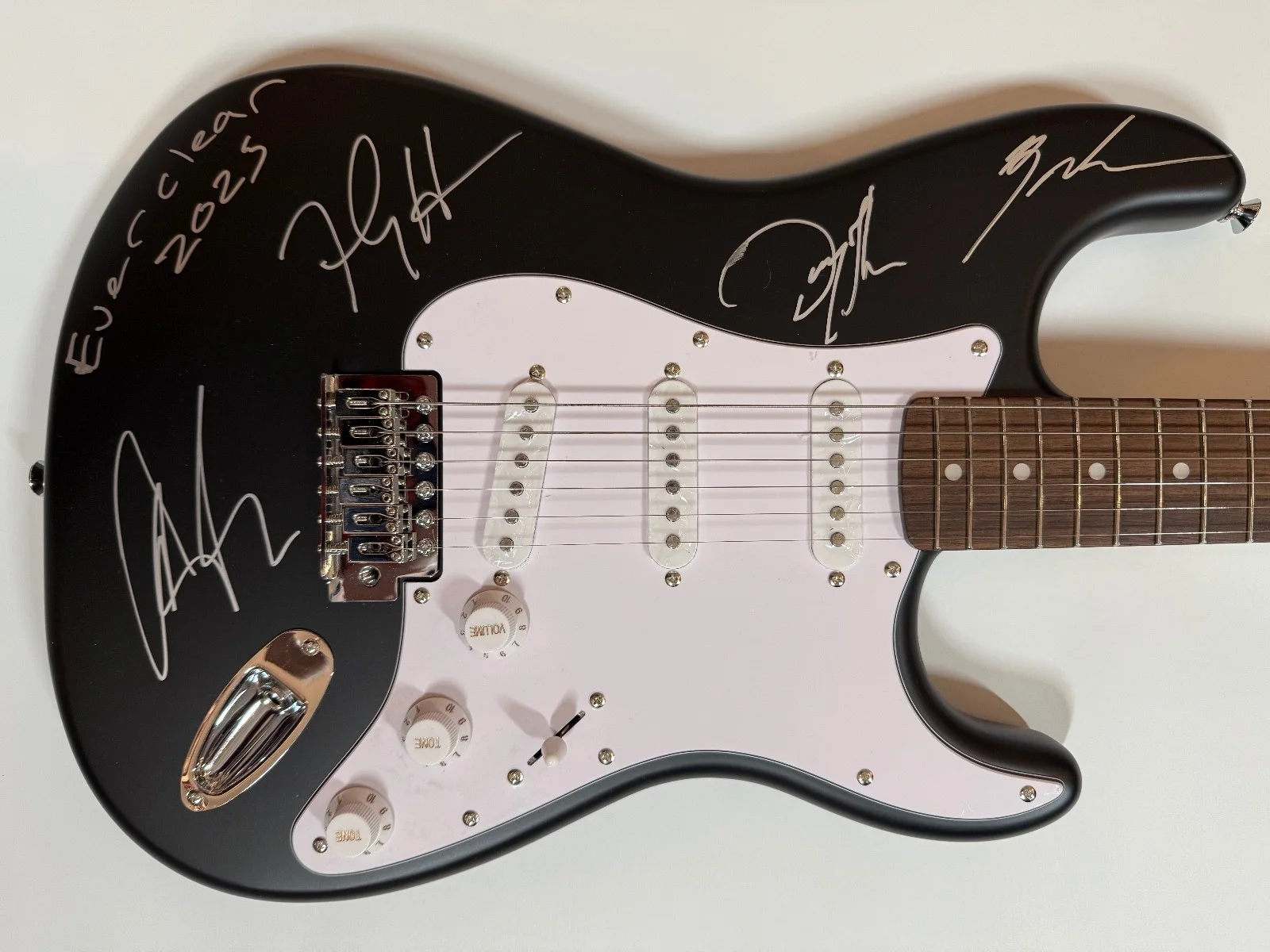 Everclear ACOA Signed Autograph Guitar 100% Charity Art Alexakis, image 5