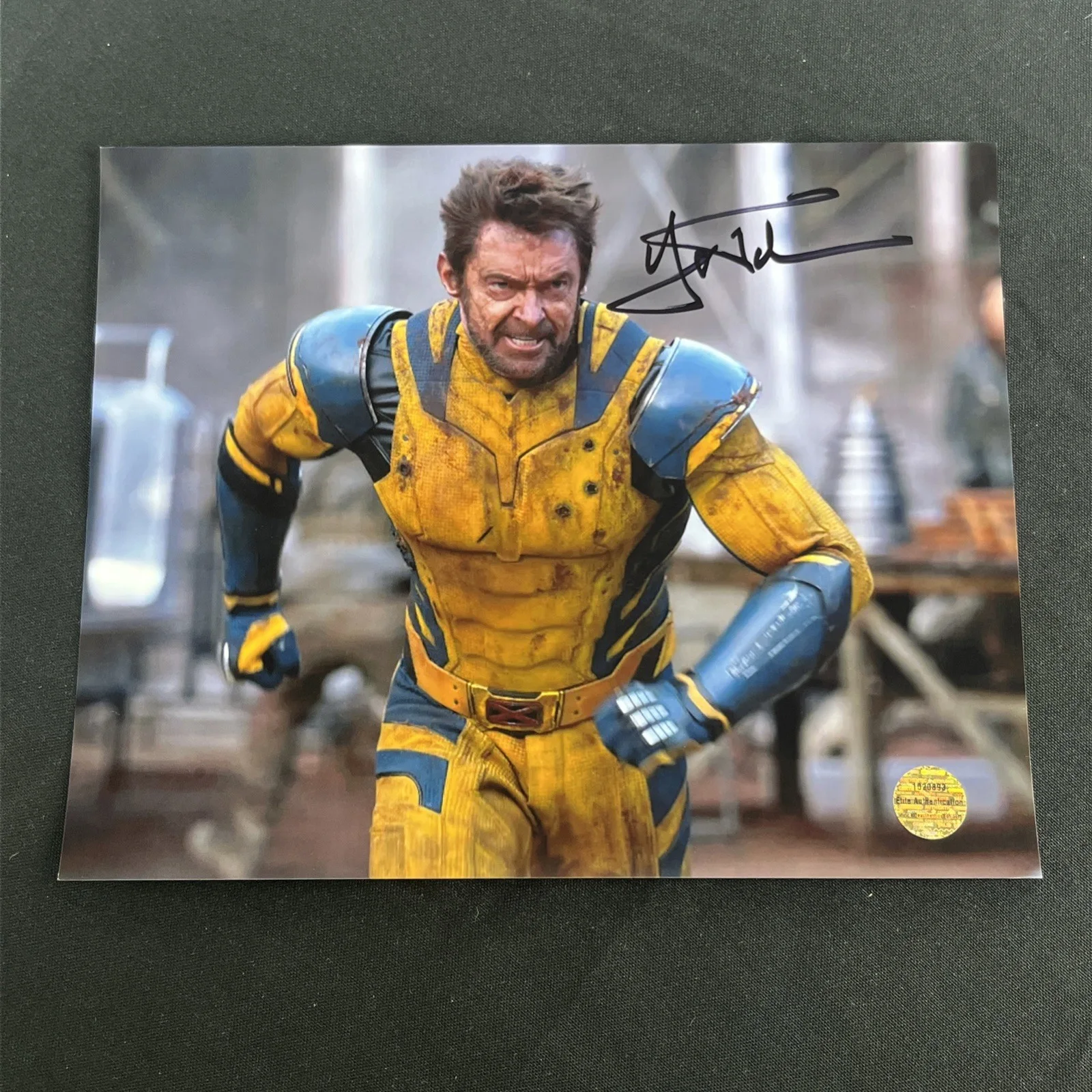Hugh Jackman — Hugh Jackman Signed Photo Autographed 8x10 X-Men Movie w/COA Hologram