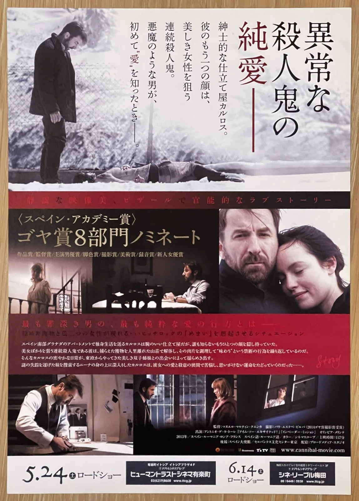 Cannibal - 2013 japan Chirashi movie flyer mini poster B5 size, изображение 2