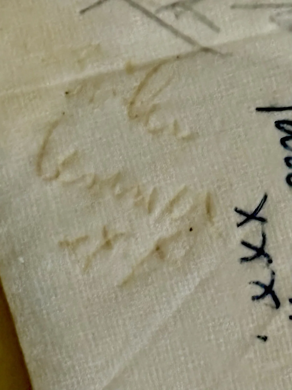 Beatles (all 4) Autographed Napkin., image 5