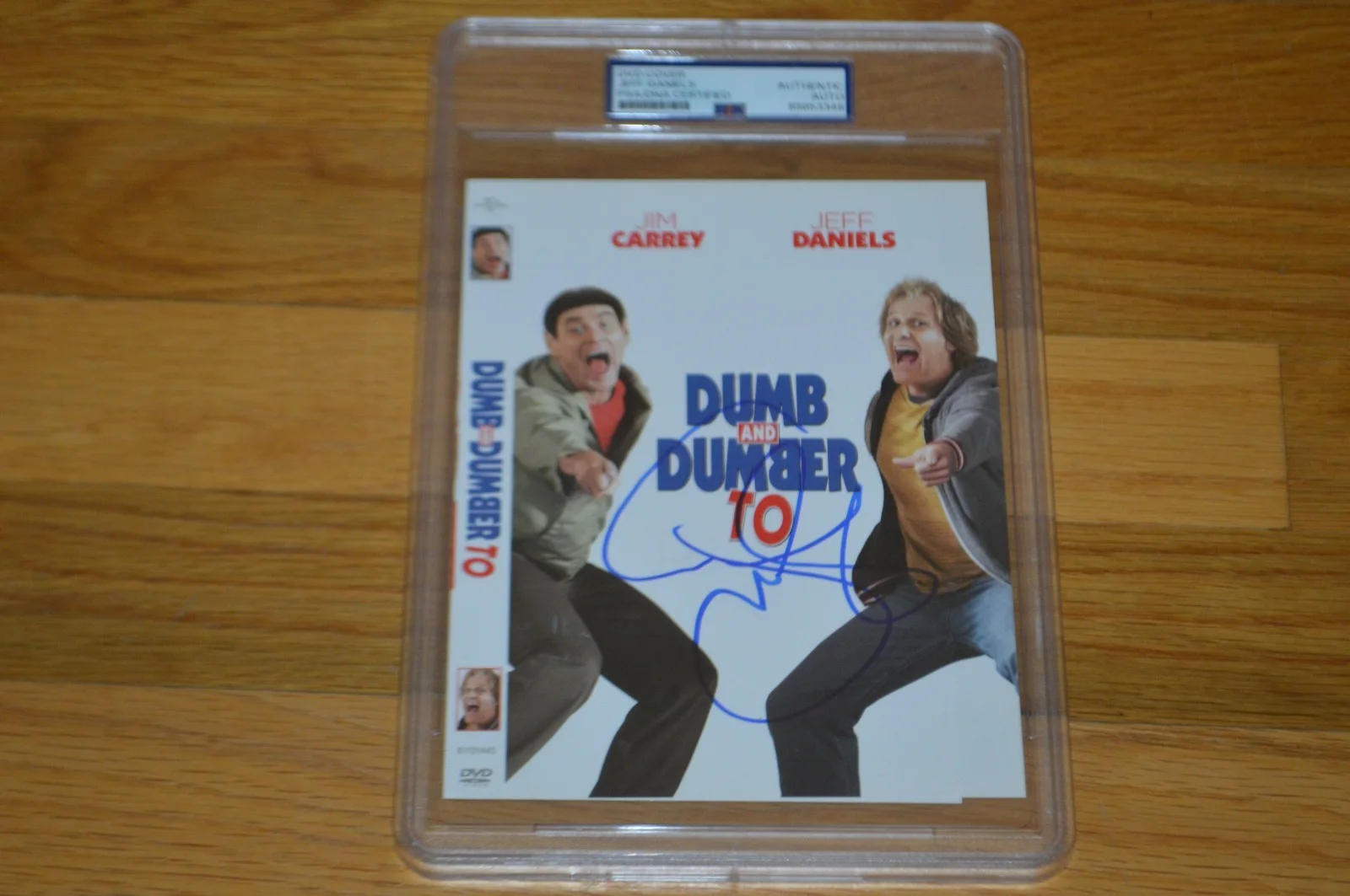 Jeff Daniels — Jeff Daniels Autographed "Dumb & Dumber" DVD Cover Insert ~ Encapsulated PSA, image 5