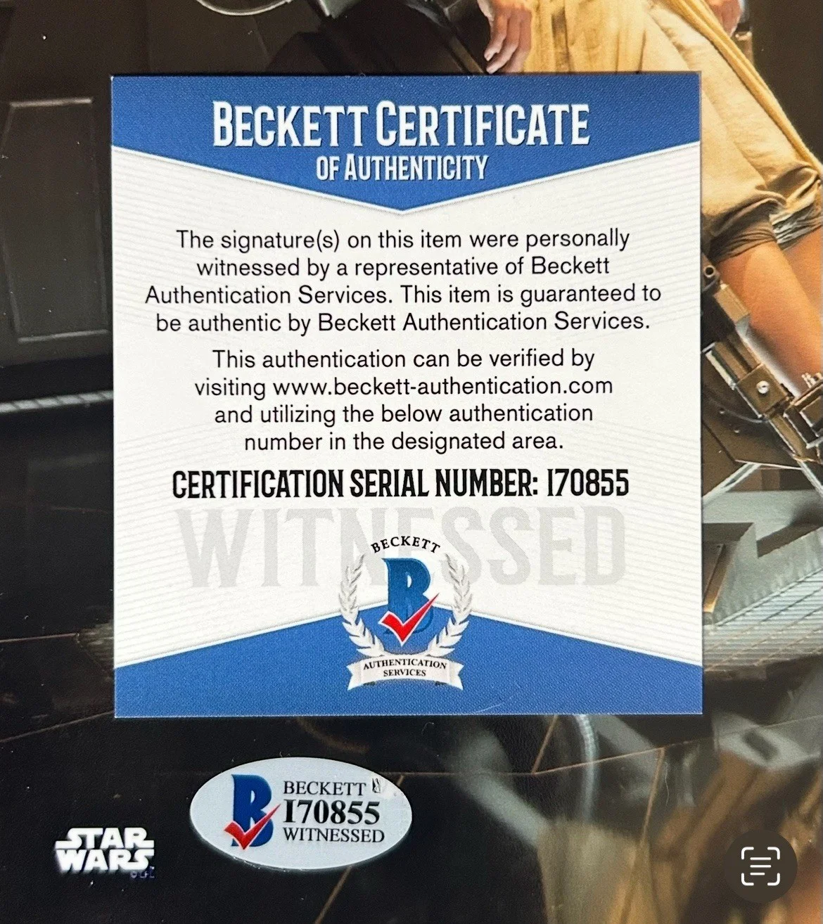 Daisy Ridley — Daisy Ridley Star Wars Signed Autographed New 8x10 with Witnessed Beckett COA, image 2