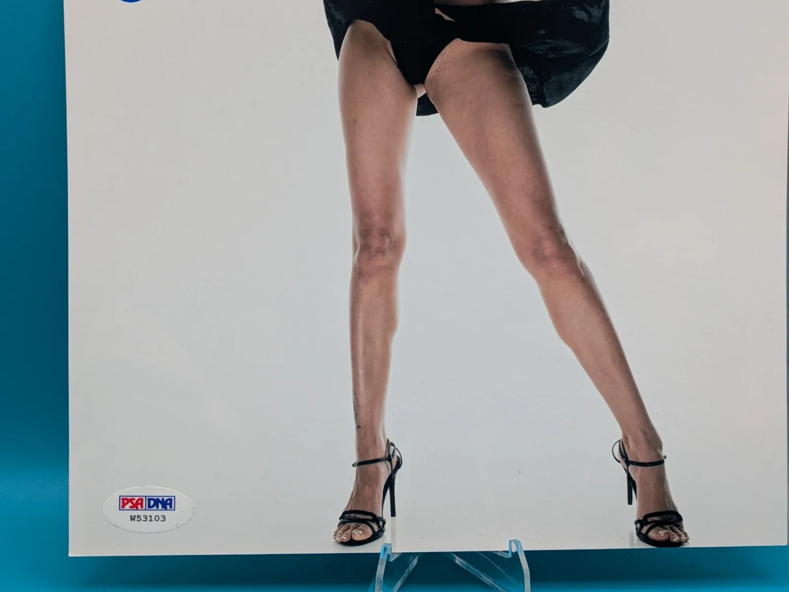Tera Patrick — Tera Patrick Signed 8x10 Photo PSA/DNA COA Picture Autograph Penthouse Hustler, image 5