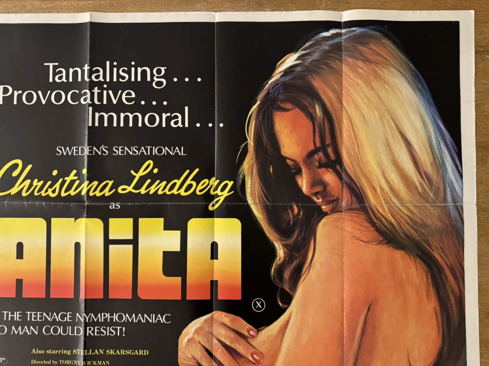Anita original movie 1973 poster UK quad very rare, изображение 3