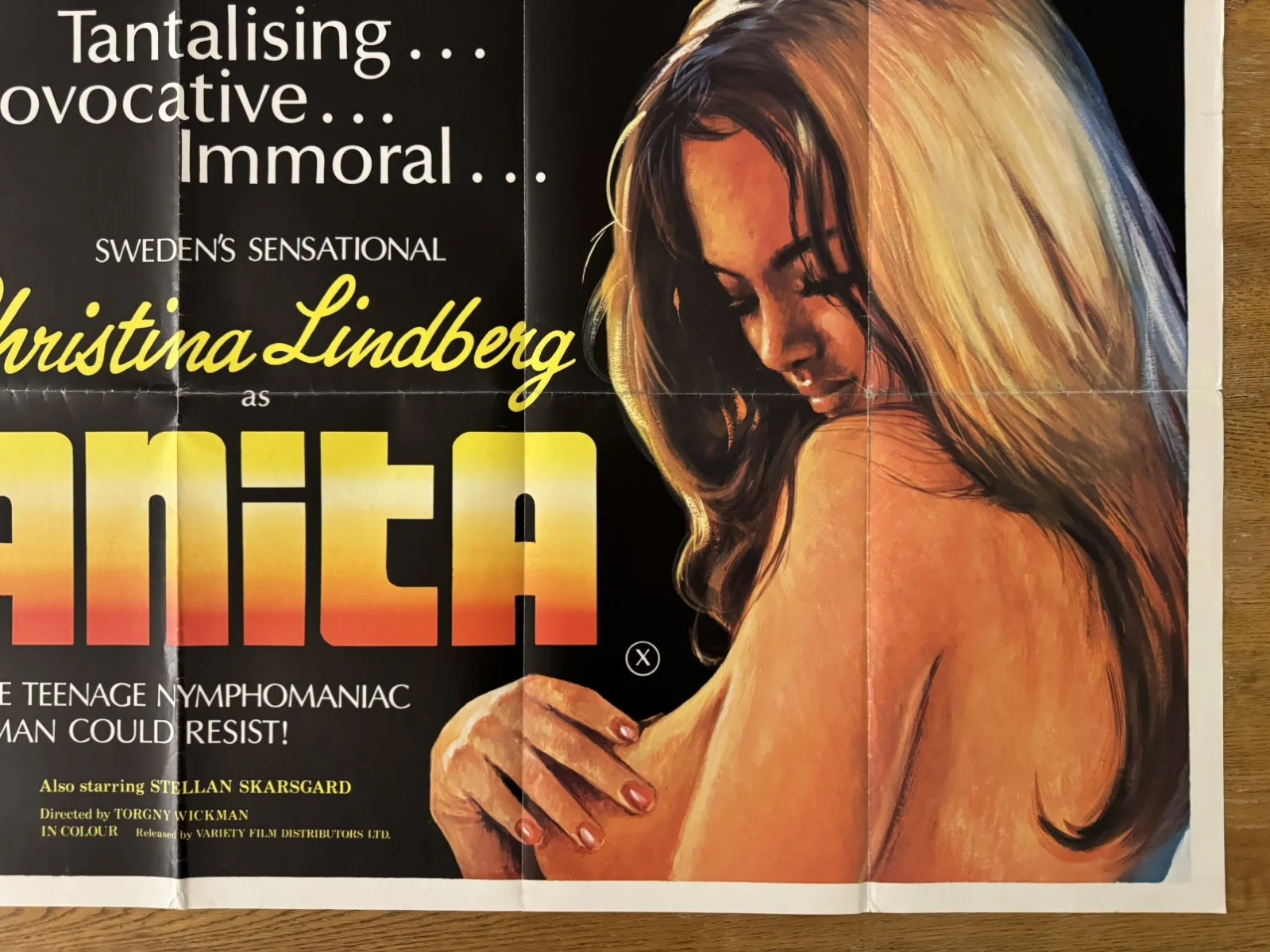 Anita original movie 1973 poster UK quad very rare, изображение 5