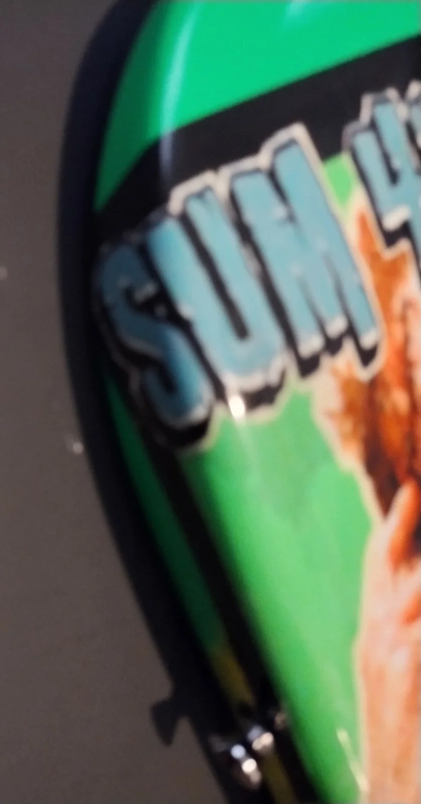 SUM 41 SIGNED GUITAR DEREK WHIBLEY DOES THIS LOOK INFECTED CD LP PHOTO PROOF COA, image 2
