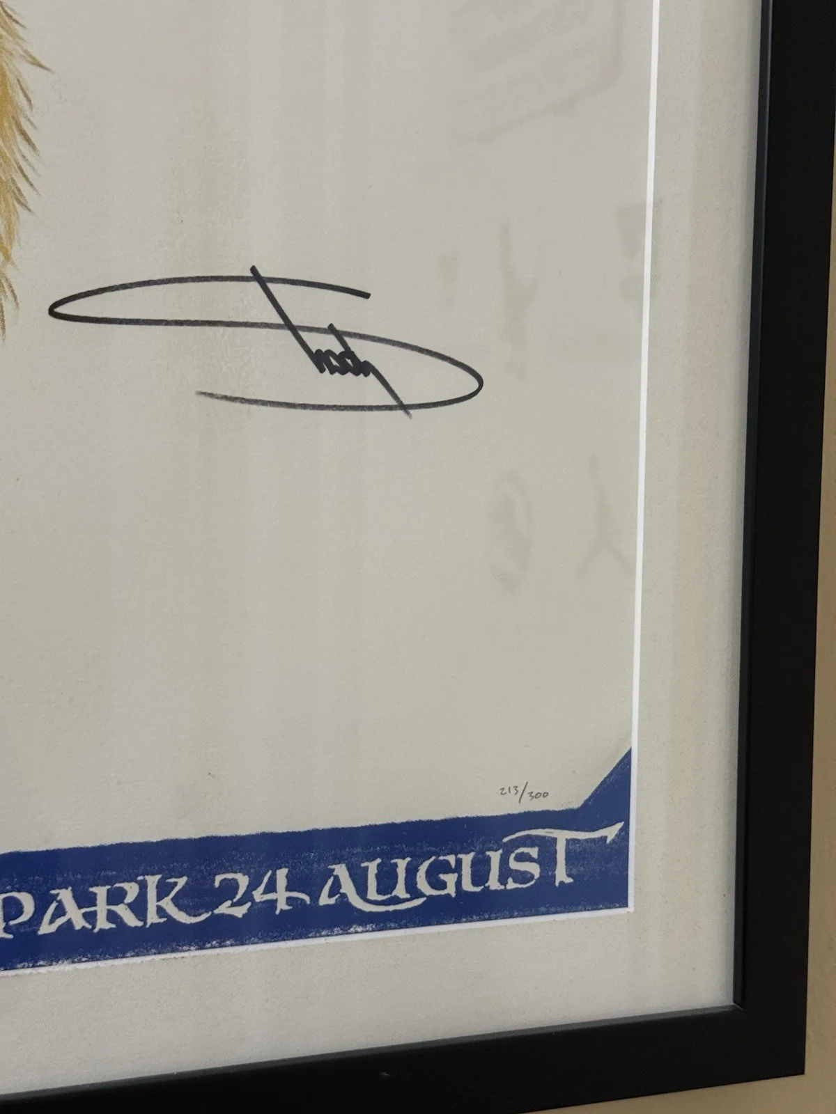 Eminem SIGNED 18" x 24" Limited Edition Glasgow - Numbered /300 autograph Framed, изображение 2
