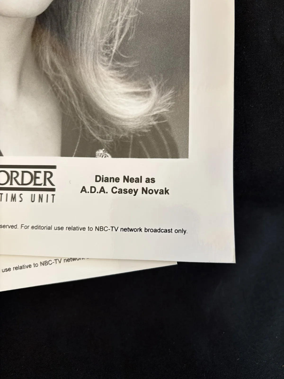 Diane Neal — SVU Casey Novak Original Studio Glossy Headshot - RARE, image 4
