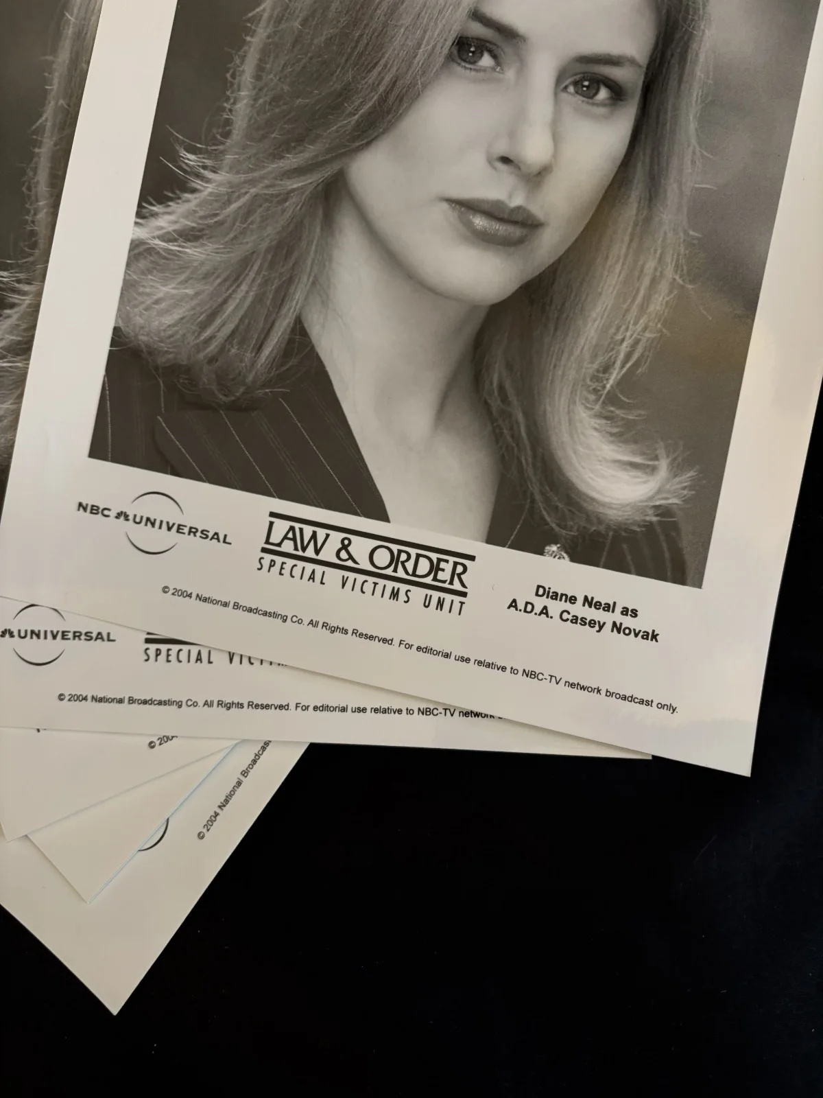 Diane Neal — SVU Casey Novak Original Studio Glossy Headshot - RARE, image 5