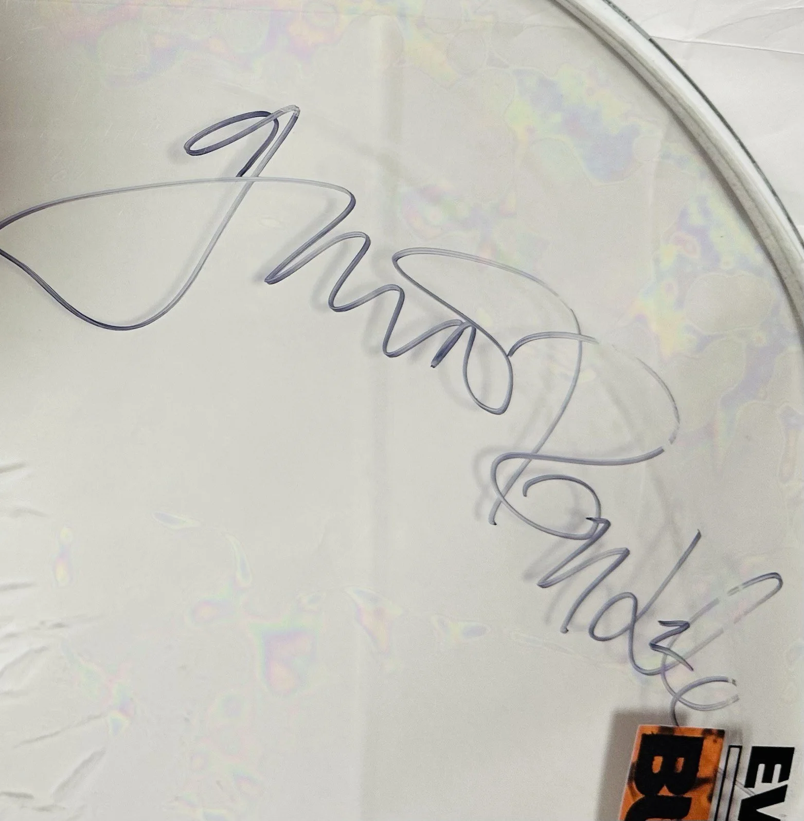 BUSH Signed Drum Bush Autographed Drum Stage Used Gavin Rossdale Signed Drum !, image 2