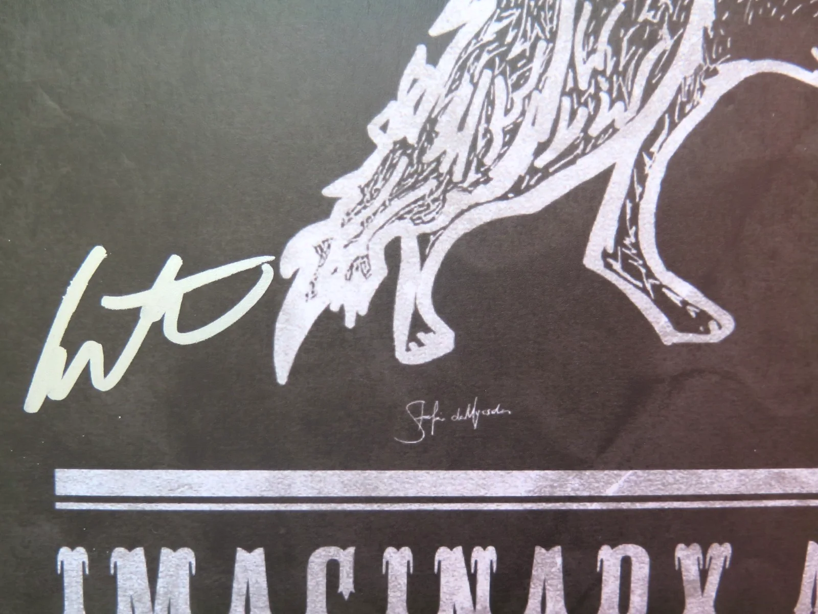 SIGNED by Colter Wall | Imaginary Appalachia LP | Ltd Ed Red Vinyl | MINT, image 3