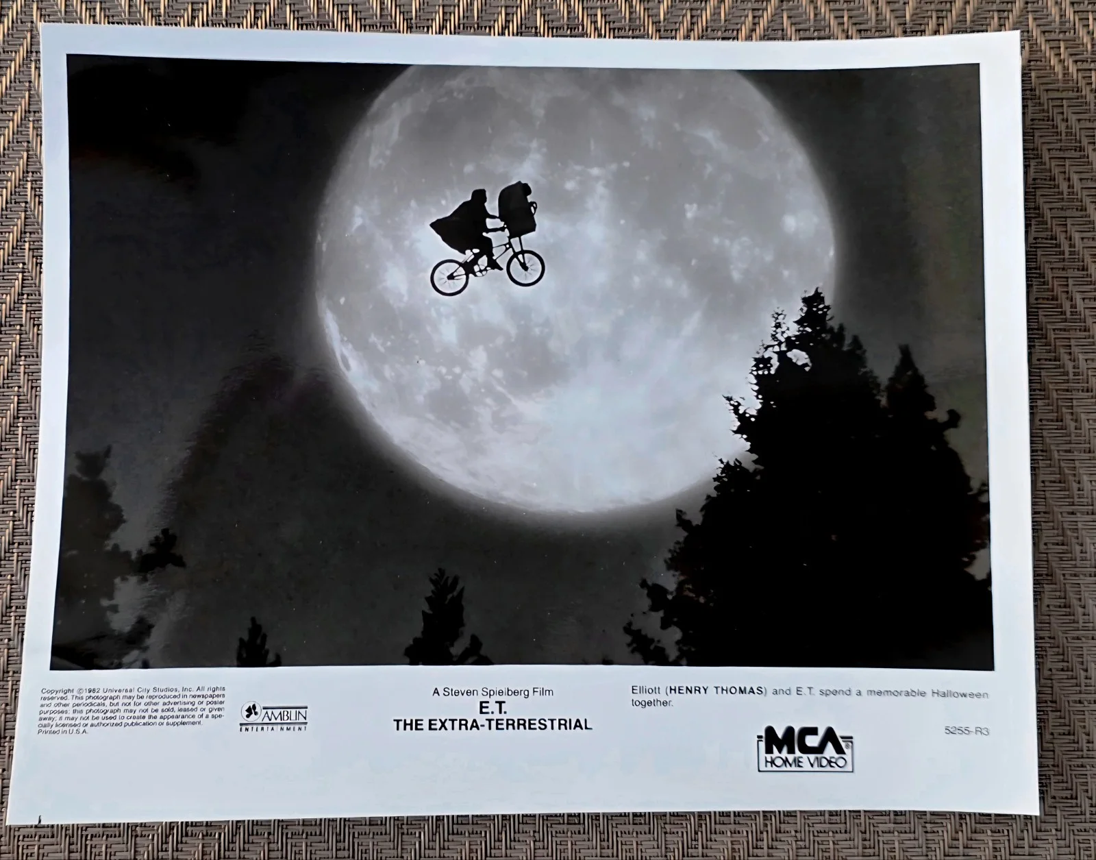 E.T. The Extra Terrestrial Press Photos (4) 8" x 10", image 2