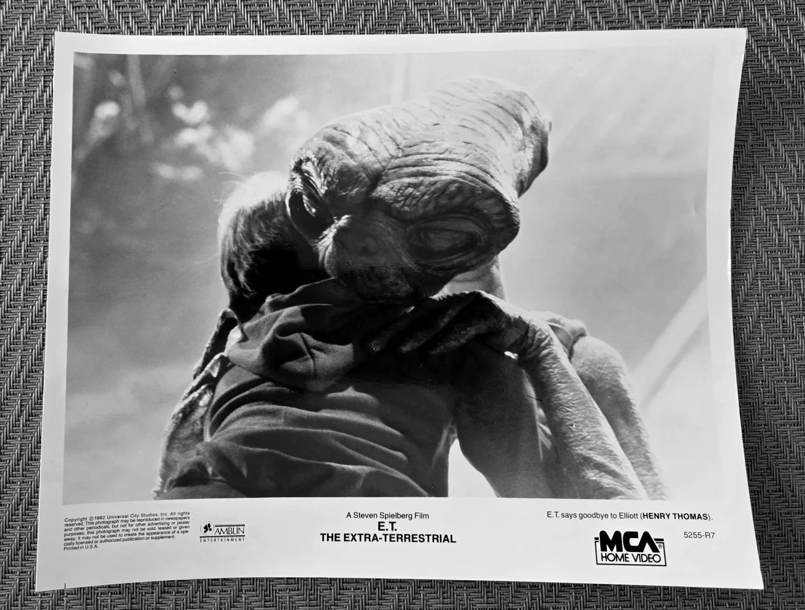 E.T. The Extra Terrestrial Press Photos (4) 8" x 10", image 3