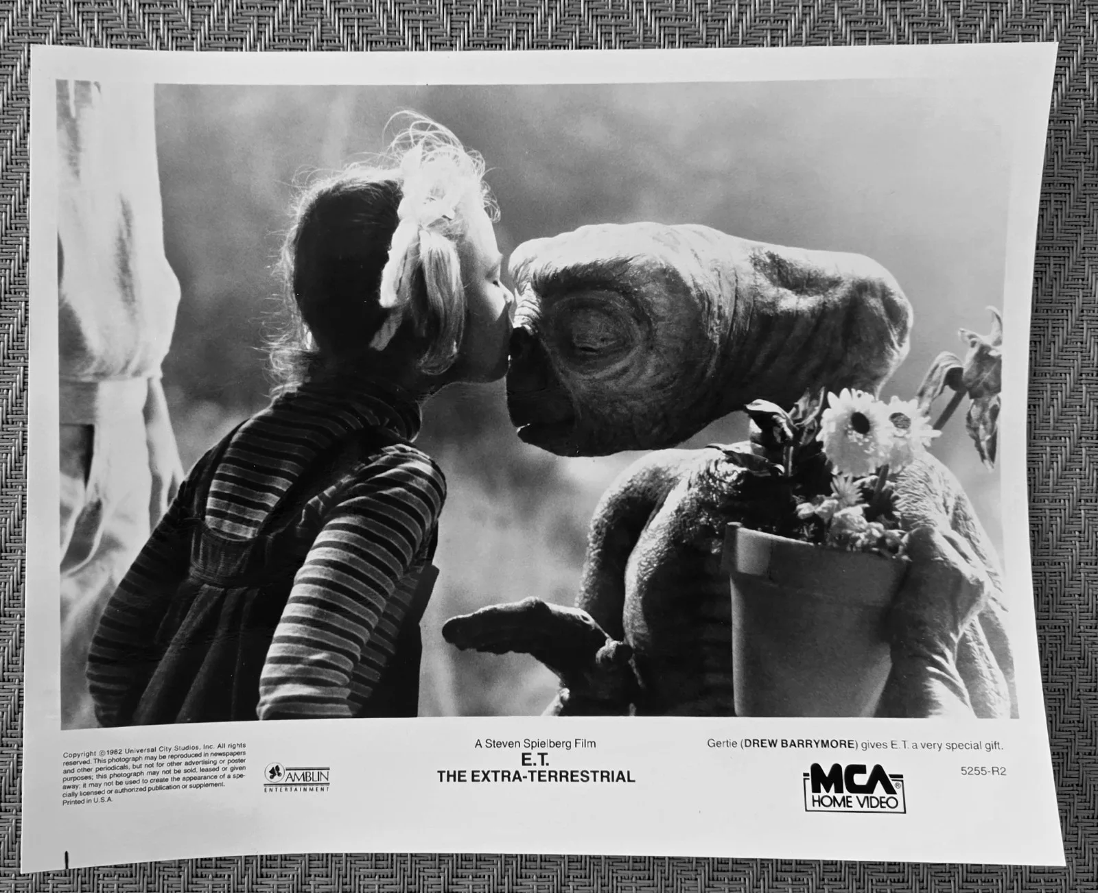 E.T. The Extra Terrestrial Press Photos (4) 8" x 10", image 4