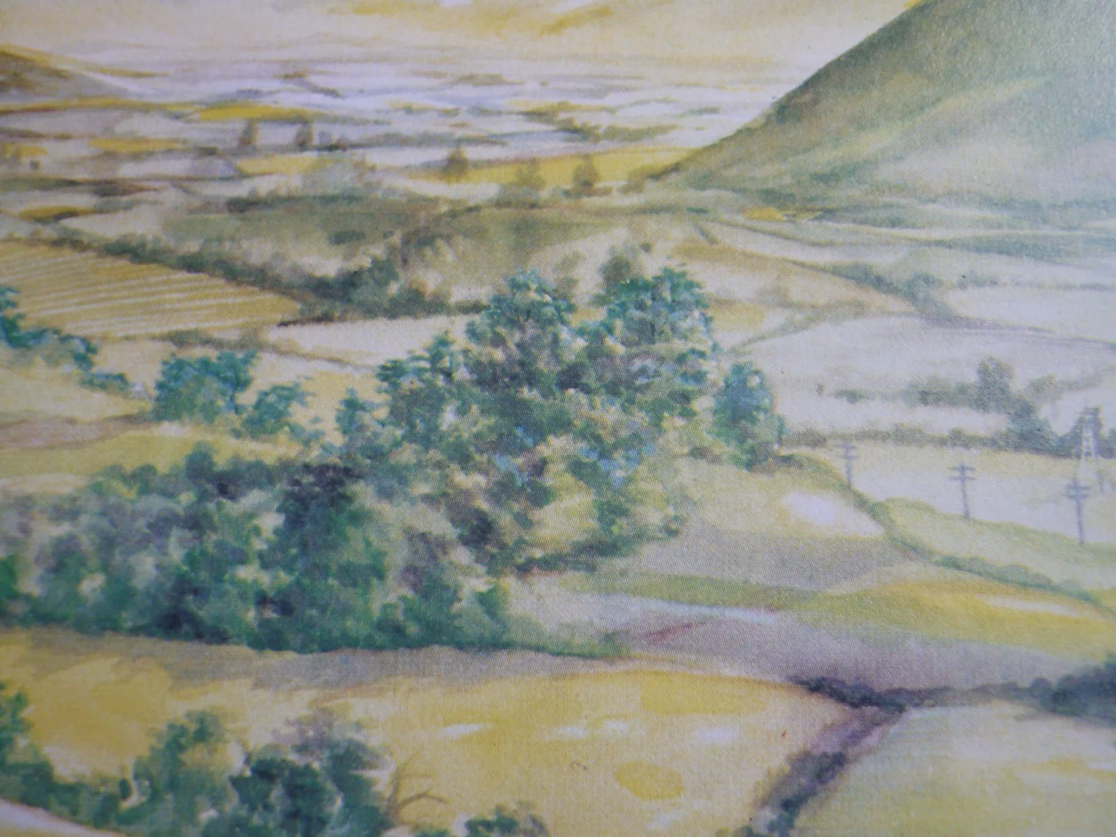 Watership Down framed a4 Richard Adams 1978 Movie scenes distant downs first, image 2