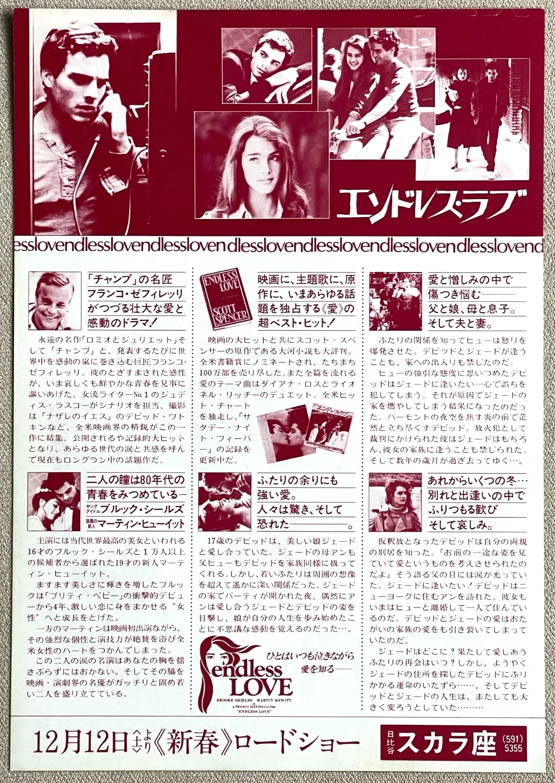 Endless Love -1981 Brooke Shields japan Chirashi movie flyer mini poster B5 size, image 2