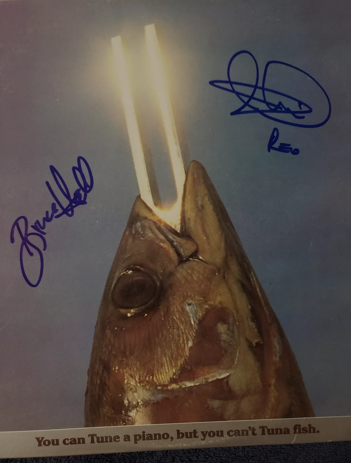 REO SPEEDWAGON SIGNED RECORD TITLED "TUNA PIANO & TUNA FISH" CRONIN+HALL PROOF!, image 2