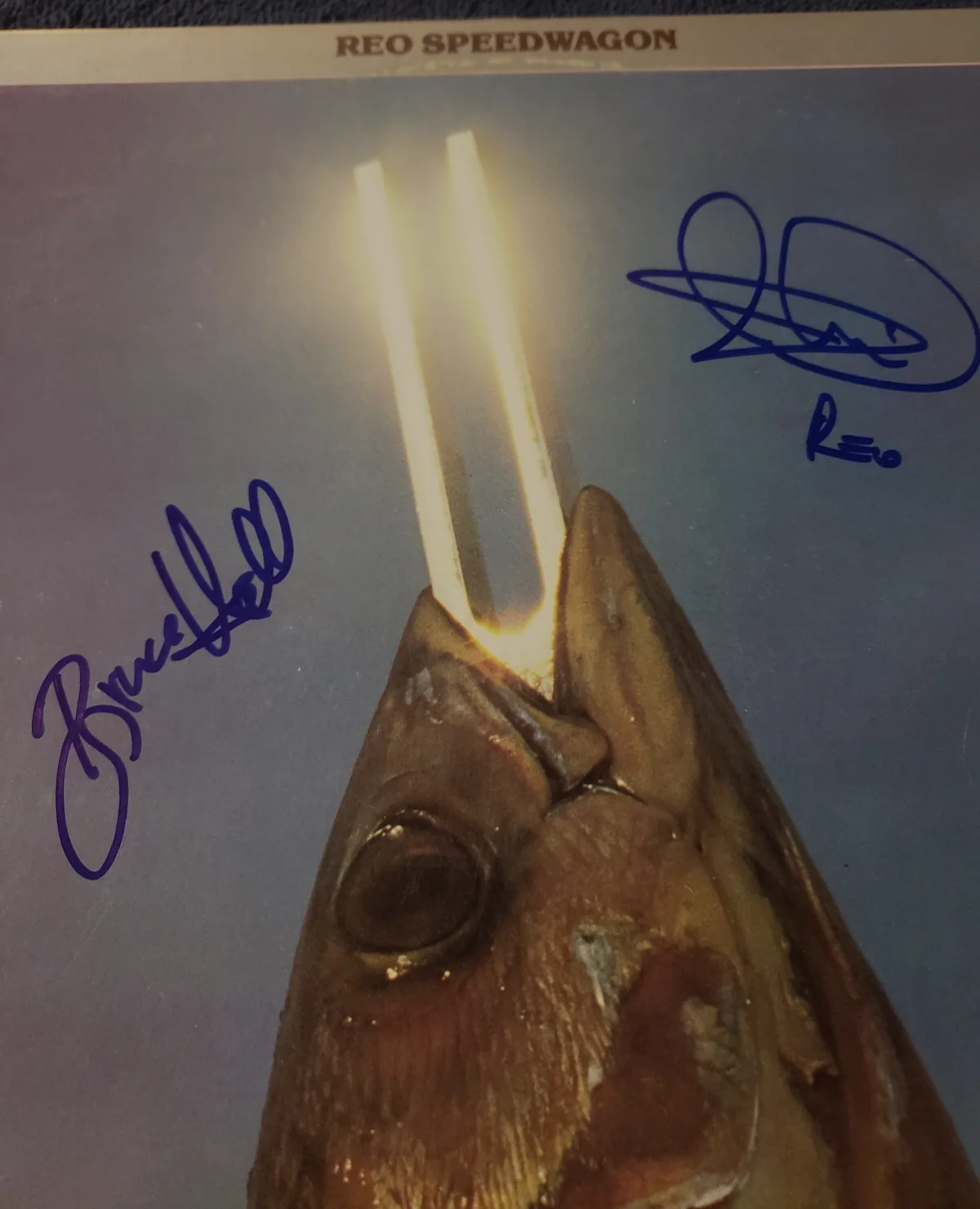 REO SPEEDWAGON SIGNED RECORD TITLED "TUNA PIANO & TUNA FISH" CRONIN+HALL PROOF!, image 3