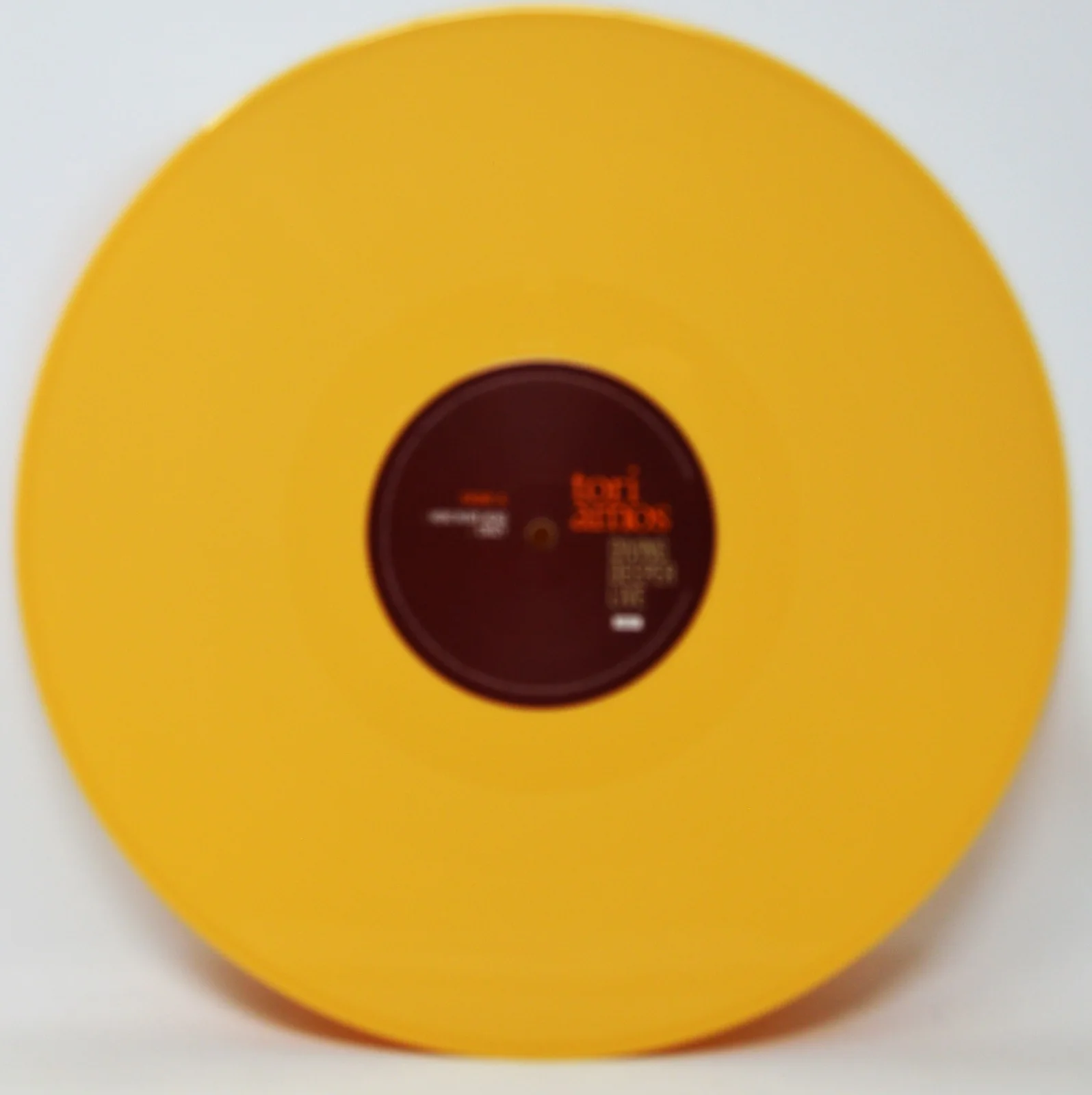 TORI AMOS "Diving Deeper Live" LP Album w/Signed Art Print JSA #CI92399, изображение 4