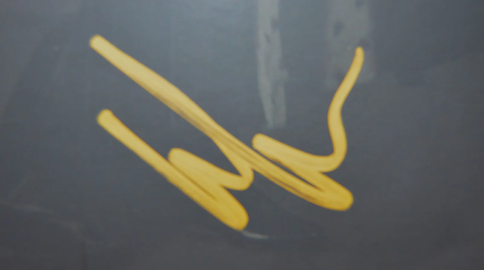 THE HIVES LP Signed Autographed Insert "THE HIVES FOREVER..." JSA #CI92402, image 3