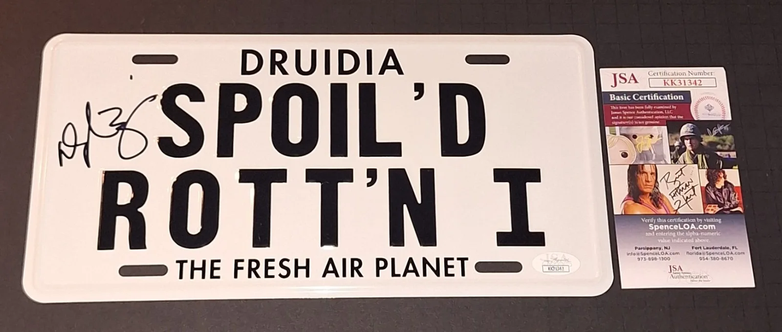 Daphne Zuniga — Daphne Zuniga Signed Autographed License Plate Spoil'd Rott'n JSA COA