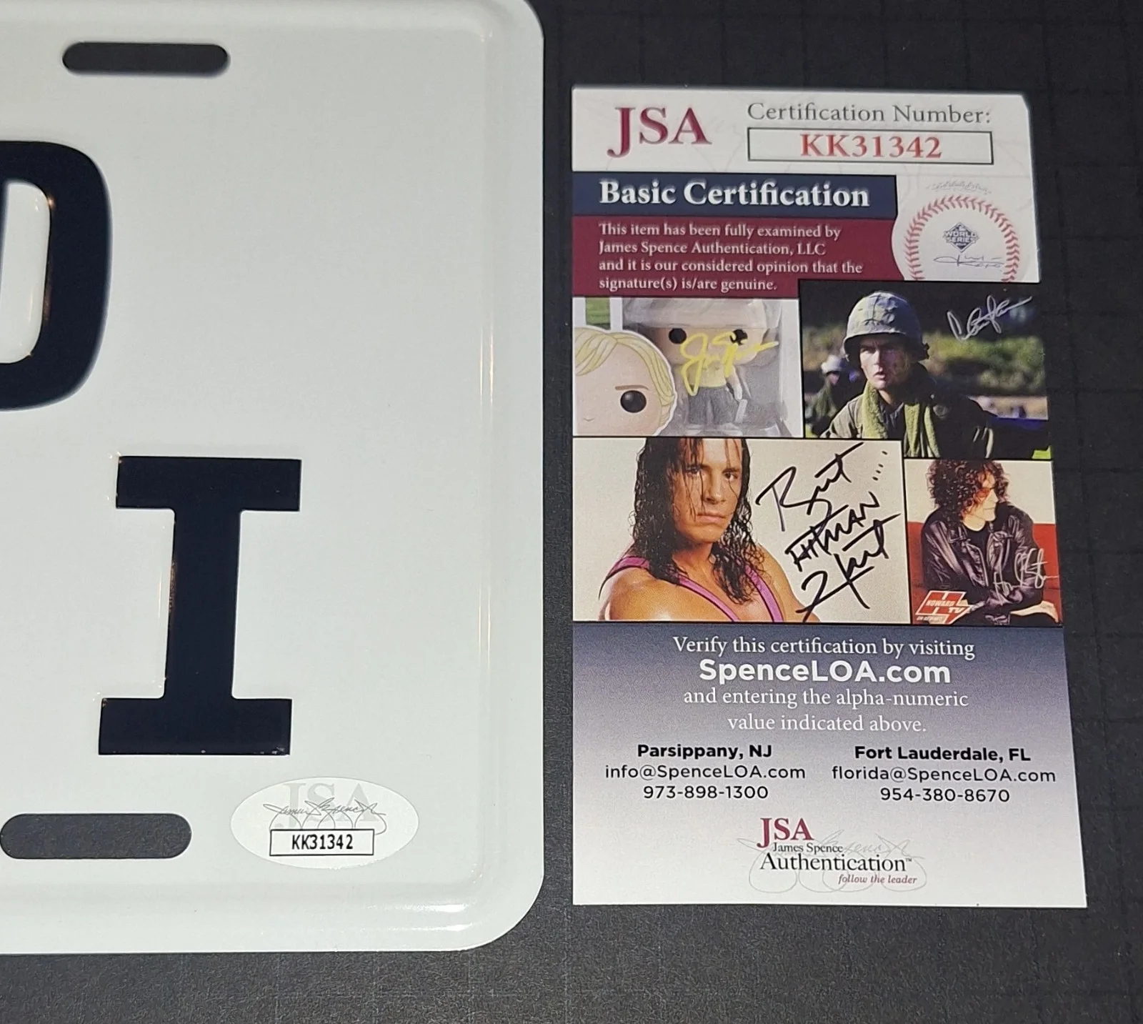 Daphne Zuniga — Daphne Zuniga Signed Autographed License Plate Spoil'd Rott'n JSA COA, image 3