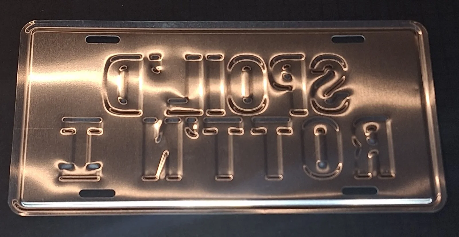 Daphne Zuniga — Daphne Zuniga Signed Autographed License Plate Spoil'd Rott'n JSA COA, image 4