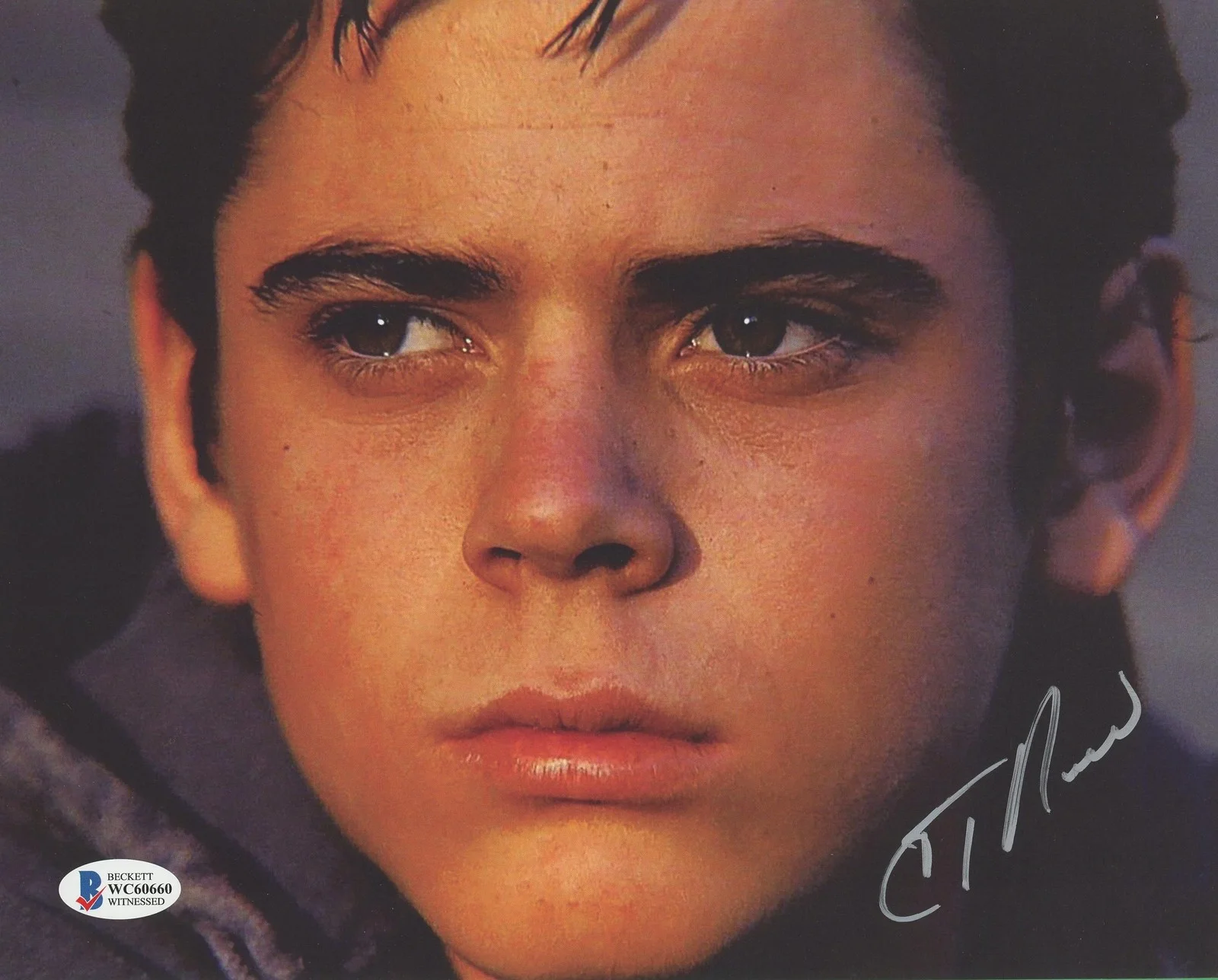C. Thomas Howell — C. Thomas Howell "The Outsiders" AUTOGRAPH Signed 'Ponyboy' 8x10 Photo D Beckett