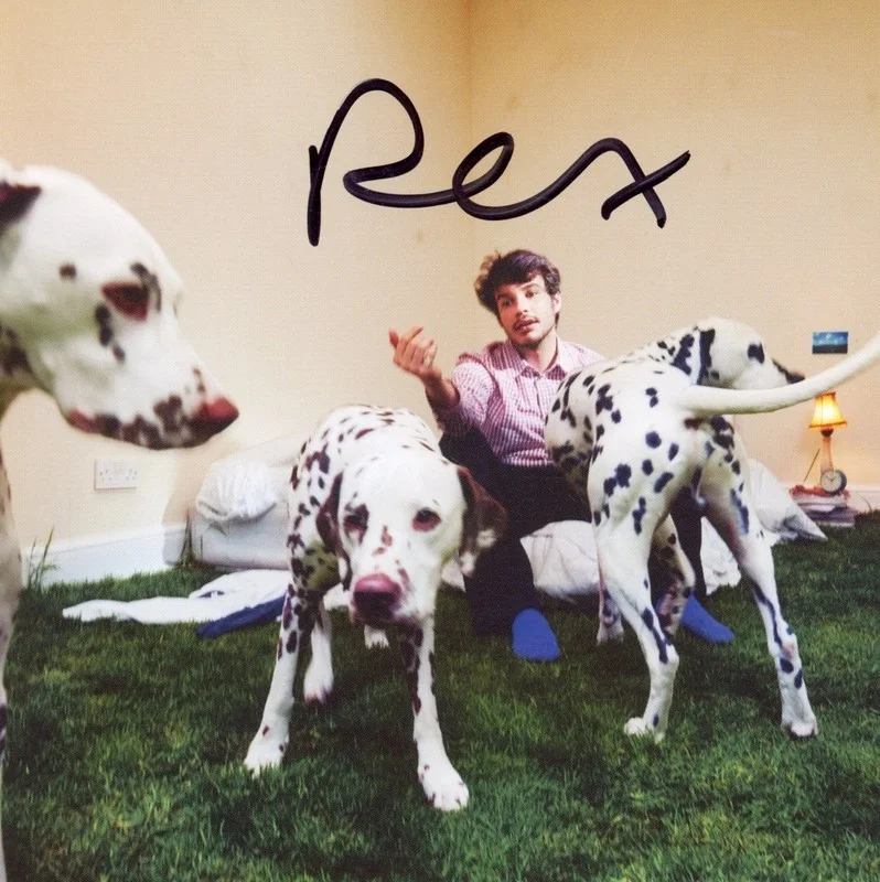 REX ORANGE COUNTY SIGNED WHO CARES? FRAMED & MATTED CD w/ AUTOGRAPH ACOA COA, image 2