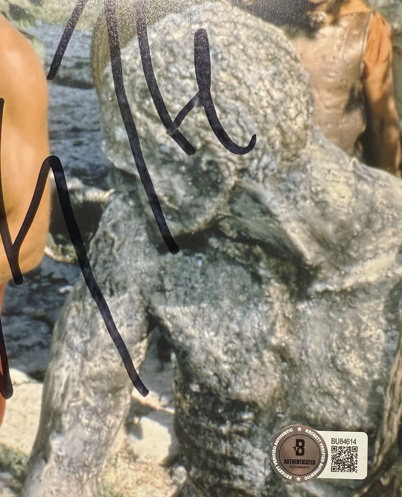 Harry Hamlin — Harry Hamlin Autograph Signed 8x10 Clash of the Titans Photo with Beckett COA, изображение 3