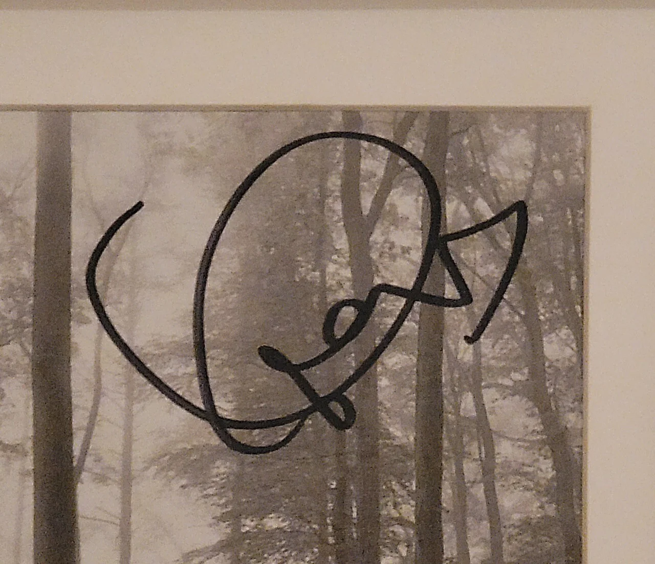 TAYLOR SWIFT Autographed SIGNED FOLKLORE CD Matted And Framed JSA COA 🔥🎸, image 2