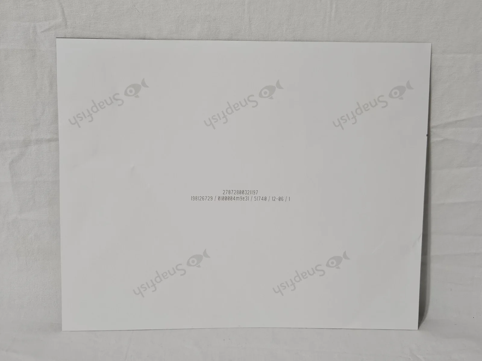 Wes Robinson, L.C. Holt — Wes Robinson & L.C. Holt Signed 8x10 Horror Photo Blair Witch. You're Next. Auto, изображение 5