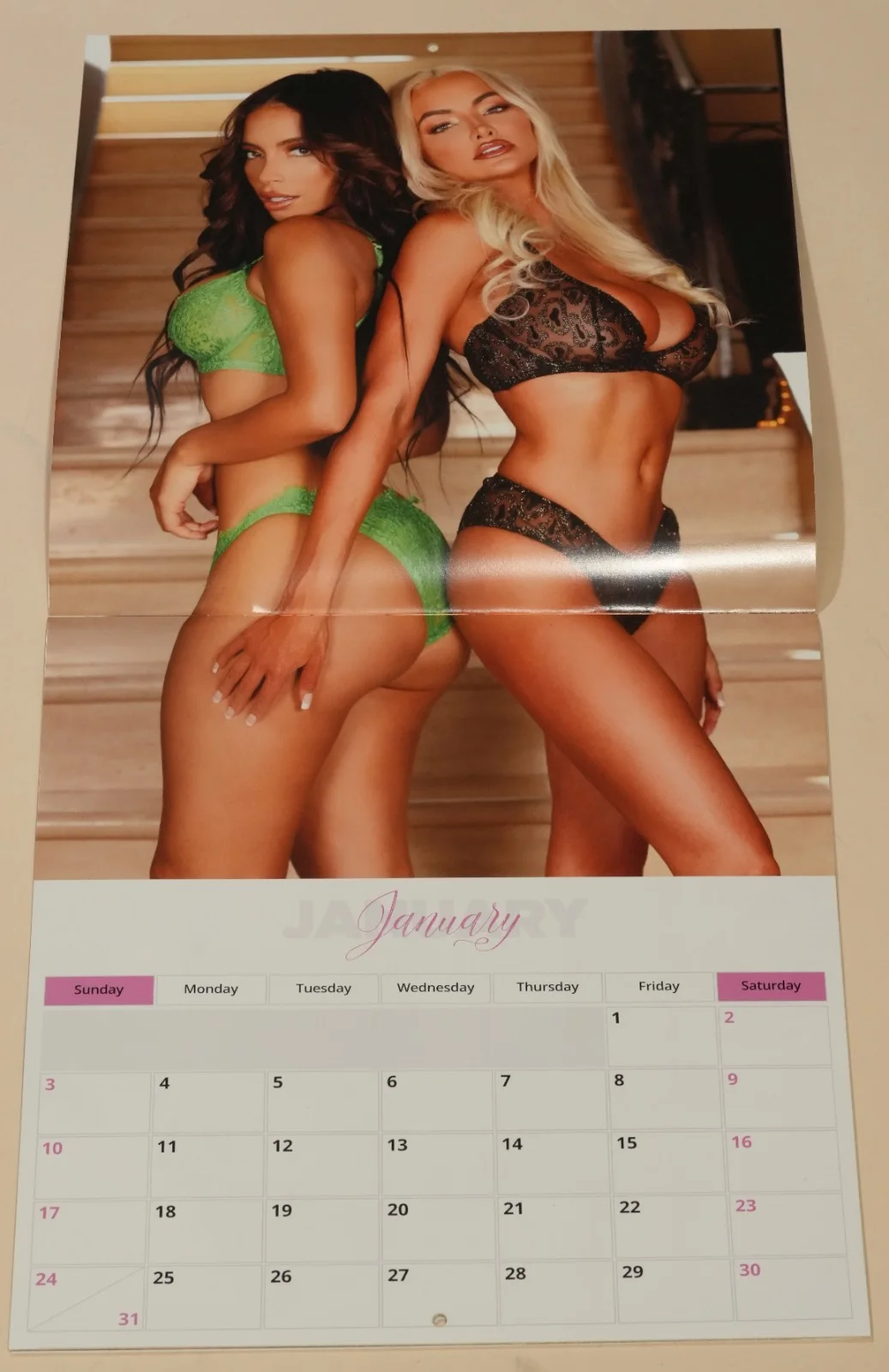 Lindsey Pelas — Lindsey Pelas Signed Official 2021 Calendar BAS COA Playboy Girl on Girl Auto'd, изображение 4