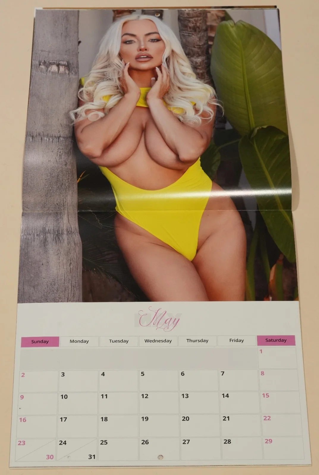 Lindsey Pelas — Lindsey Pelas Signed Official 2021 Calendar BAS COA Playboy Girl on Girl Auto'd, изображение 5